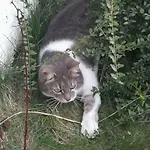 M37